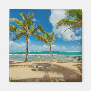 Íman Praias Tropicais Praia de Kuau Cove, Maui Hawaii