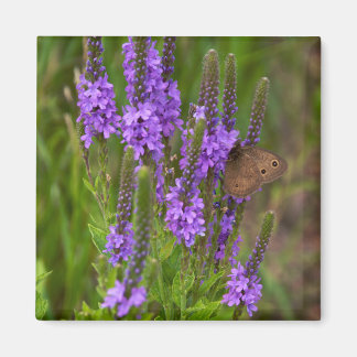 Íman Prairie Flower e Butterfly Magnet