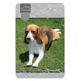 Íman Prata e Feliz Natal