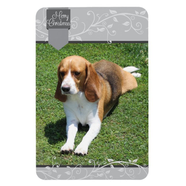 Íman Prata e Feliz Natal (Vertical)