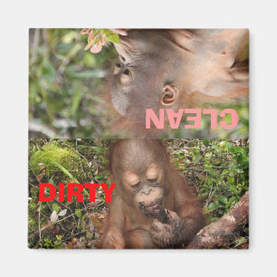 Íman Pratos sujos ou limpos bonitos na máquina de lava