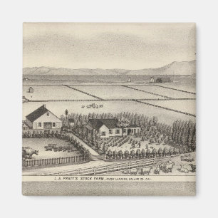 Íman Pratt, Stewart fazenda