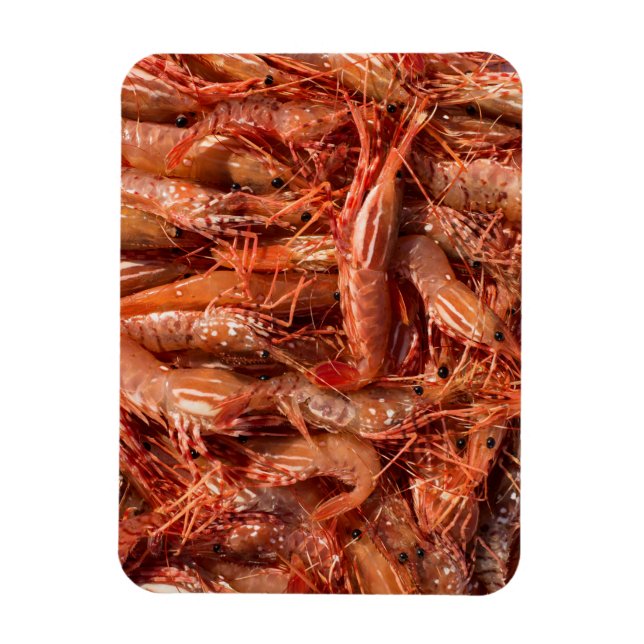 Íman Prawns Deliciosos (Vertical)