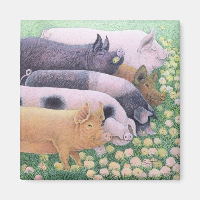 Íman Prazer Puro (Frente)