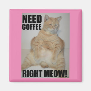 Íman PRECISO DE CAFÉ AGORA! Gato Manx Sentado Engraçado