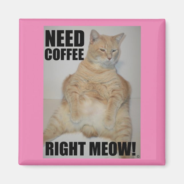 Íman PRECISO DE CAFÉ AGORA! Gato Manx Sentado Engraçado (Frente)