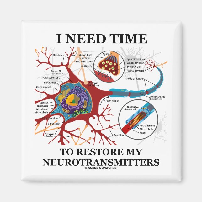 Íman Preciso De Tempo Para Restaurar Os Meus Neurotrans (Frente)
