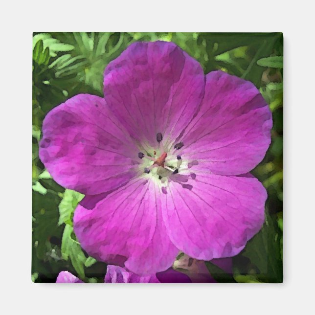 Íman Preencher Rosa (Frente)