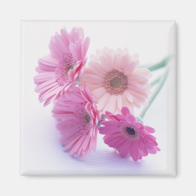 Íman Prêmio Jardim 8 (Frente)