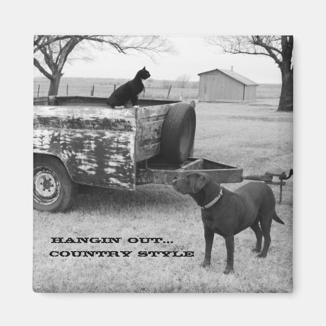 Íman Prendendo o ímã (Frente)