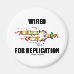Íman Prendido para a réplica (réplica do ADN)
