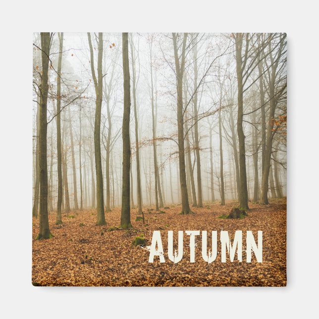 Íman Presente da Floresta Mista e Fog Fall Season (Frente)