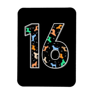 Íman Presente de aniversário 16.o aniversário com c
