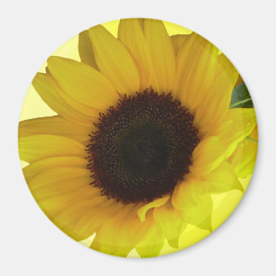 Íman Presente de Flor Cheerful na Imã de geladeira de