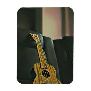 Íman presente de guitarra de baixo acústico