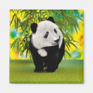 Íman Presente de Urso Panda Fofinho Kawaii para Amantes