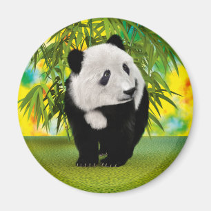 Íman Presente de Urso Panda Fofinho Kawaii para Amantes