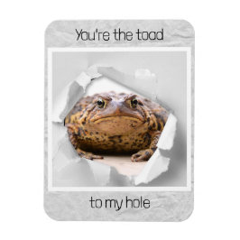 Íman Presente engraçado de dia de os namorados de sapo