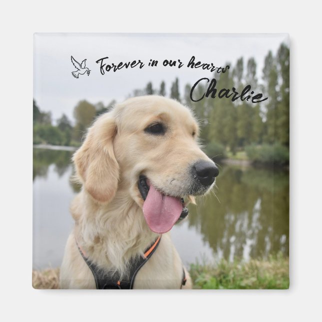 Íman Presente Memorial Pet Photo Keepsaee (Frente)