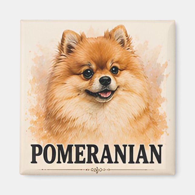 Íman Presente para Amante de Cachorro Pomerânia Fofa (Frente)