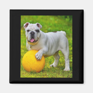 Íman Presente para Lover-in-touro de Bulldog de Basquet