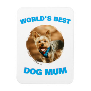 Íman Presente Personalizado Mínimo Melhor Cachorro Gato