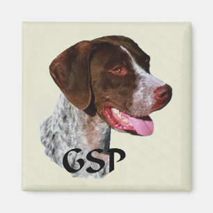 Íman Presentes alemães do ponteiro de cabelos curtos