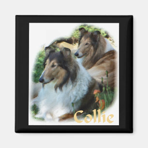 Íman Presentes ásperos da arte do Collie