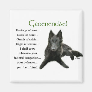 Íman Presentes belgas do Sheepdog de Groenendael