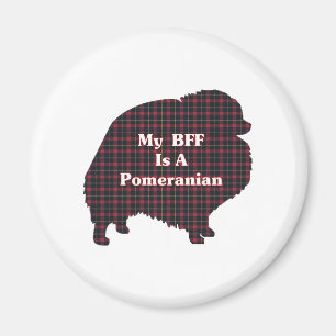 Íman Presentes BFF da Pomerânia