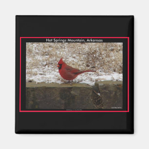 Íman Presentes Cardinal Hot Springs Nat. Park Mountain