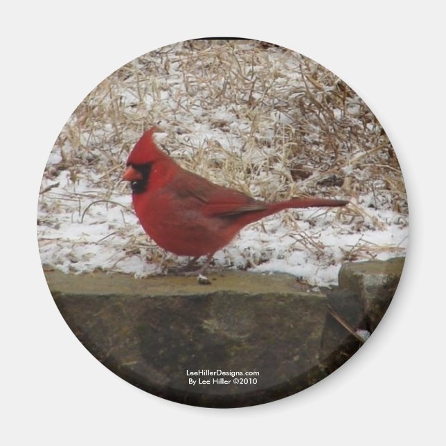 Íman Presentes Cardinal Hot Springs Nat. Park Mountain  (Frente)