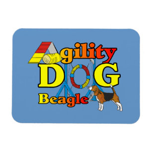 Íman Presentes de Agilidade de Beagle