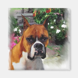 Íman Presentes de Arte Canina Boxer
