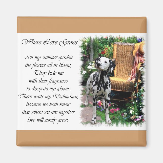 Íman Presentes de Arte Dalmáticos (Frente)