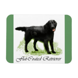 Íman Presentes De Arte De Retriever De Revestimento Sim