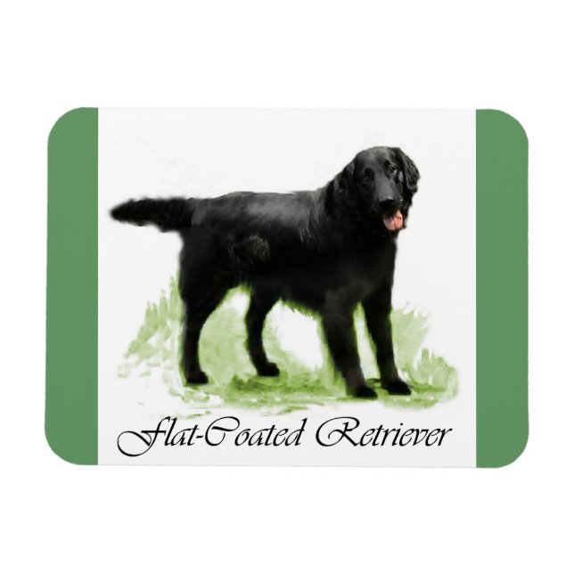 Íman Presentes De Arte De Retriever De Revestimento Sim (Horizontal)