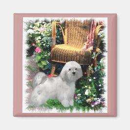 Íman Presentes de Arte do Havanês