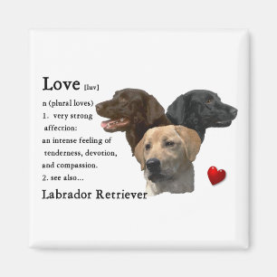 Íman Presentes de Arte do Labrador Retriever