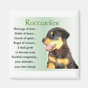 Íman Presentes de Arte do Rottweiler