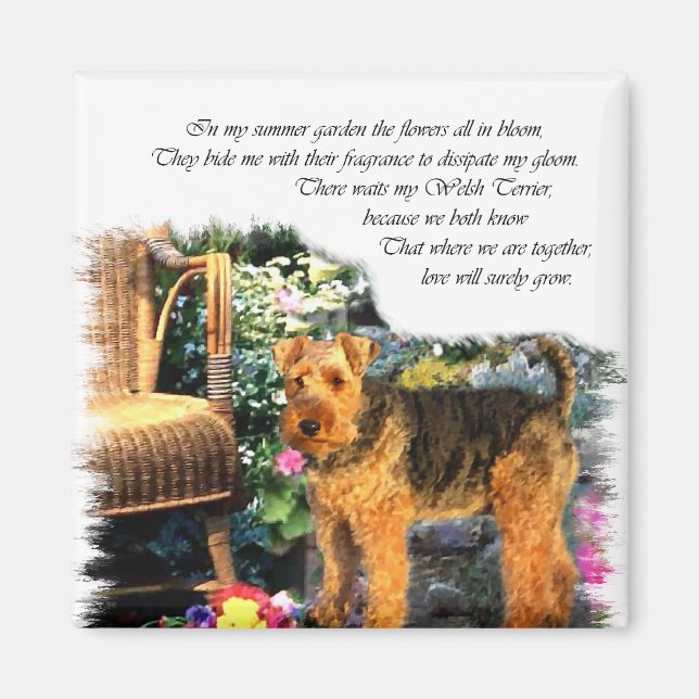 Íman Presentes de Arte do Welsh Terrier (Frente)