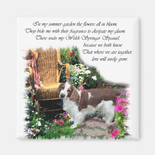 Íman Presentes de Arte em Welsh Springer Spaniel