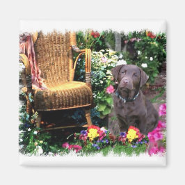 Íman Presentes de Arte Labrador Retriever