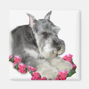 Íman Presentes de Arte Miniatura Schnauzer