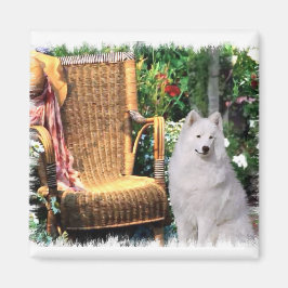 Íman Presentes de Arte Samoyed