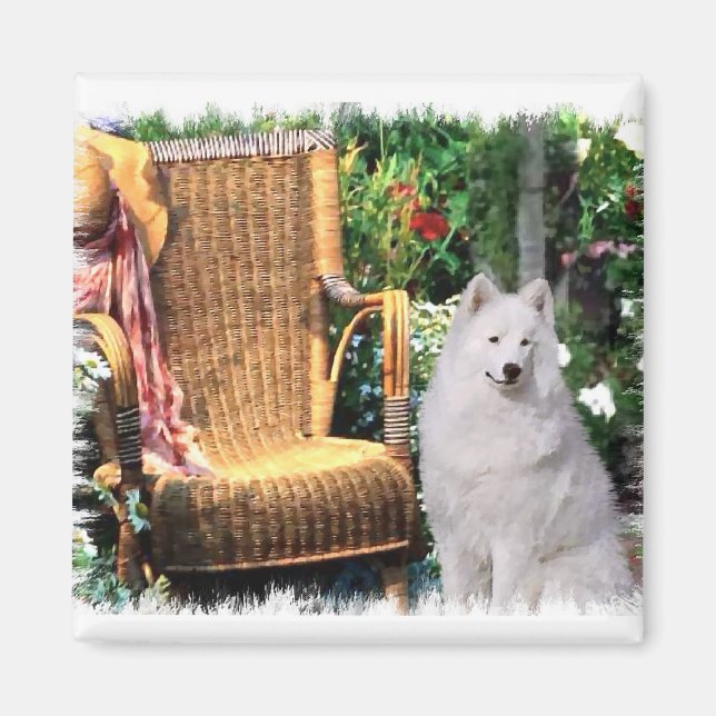 Íman Presentes de Arte Samoyed (Frente)