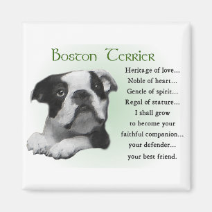 Íman Presentes de Boston Terrier