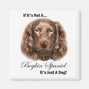 Íman Presentes de Boykin Spaniel