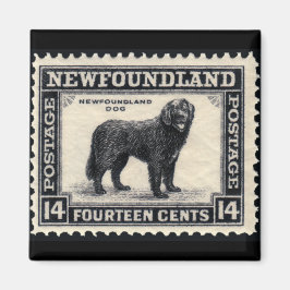 Íman Presentes de Cachorro na Terra Nova