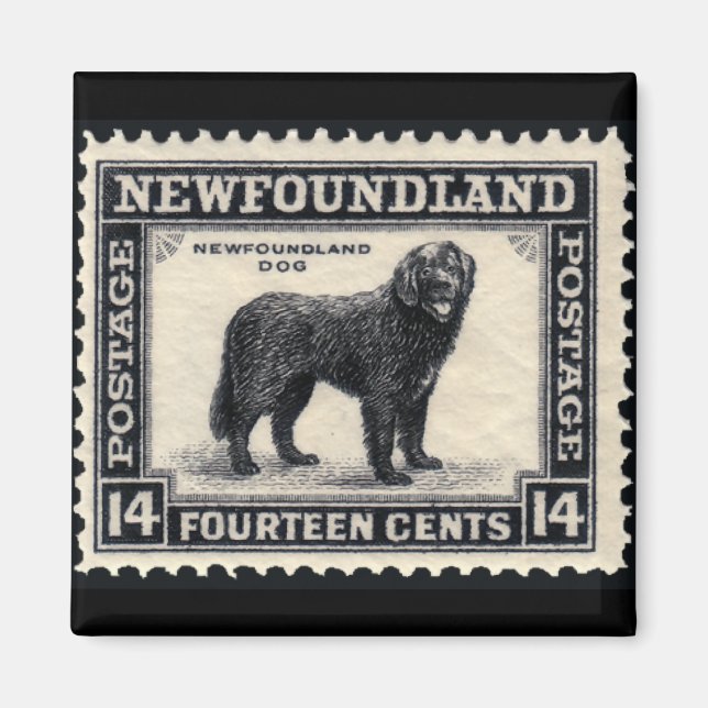 Íman Presentes de Cachorro na Terra Nova (Frente)